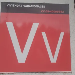 Palmeras , Icod De Los Vinos Spanien
